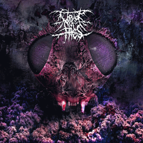 Cloud Of Flies : Cloud of Flies